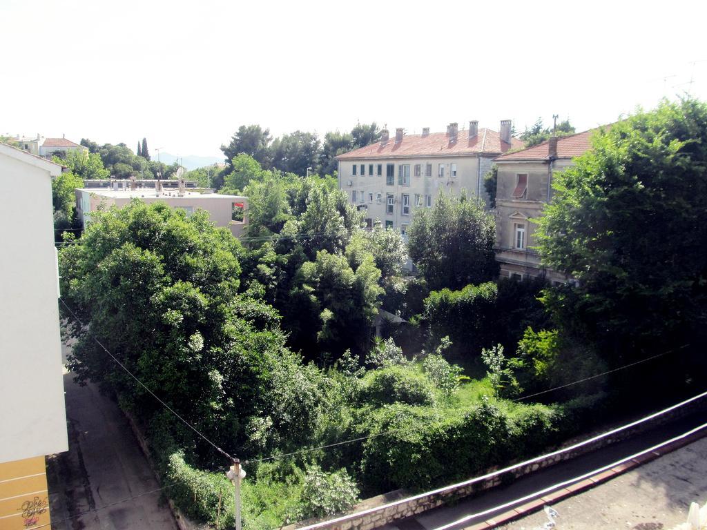 Apartment Jazine